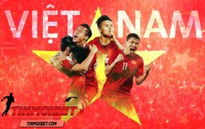 Tổng quan về đội tuyển Việt Nam