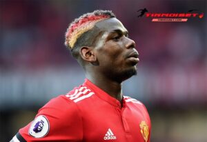 Sự nghiệp đội tuyển quốc gia phá của paul pogba